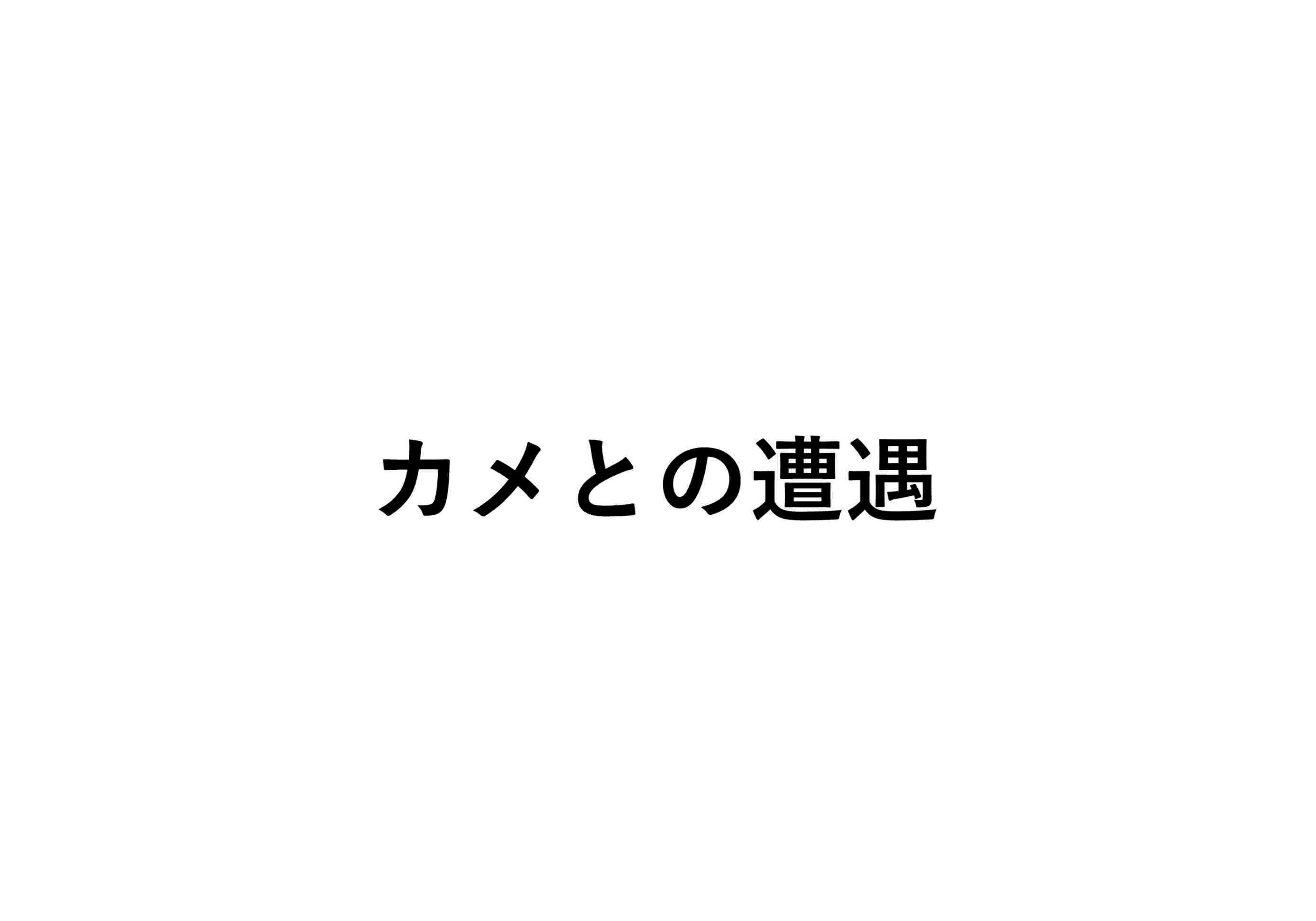 台本の表紙の画像だよ
